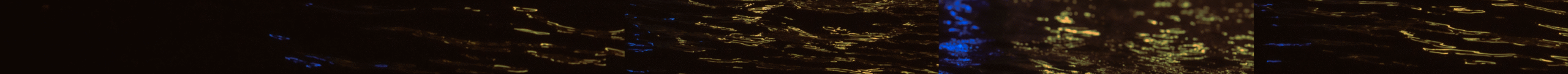 Panel-of-2-of-6.